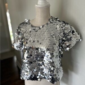 Endless Rose Silver Sequin Crop Top